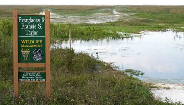Projet de restauration des Everglades, en Floride