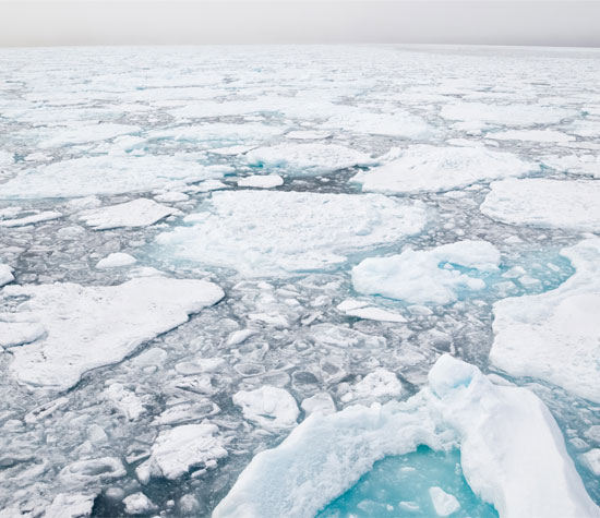 banquise arctique. Image © KenCanning, iStockphoto.com