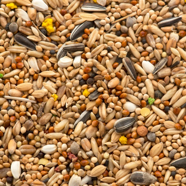 Une variété de graines