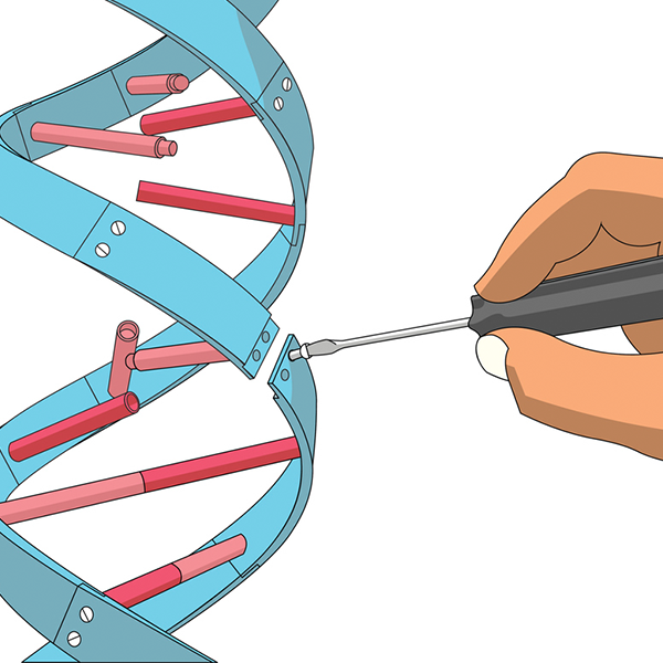 Une main « répare » l’ADN à l’aide d’un tournevis