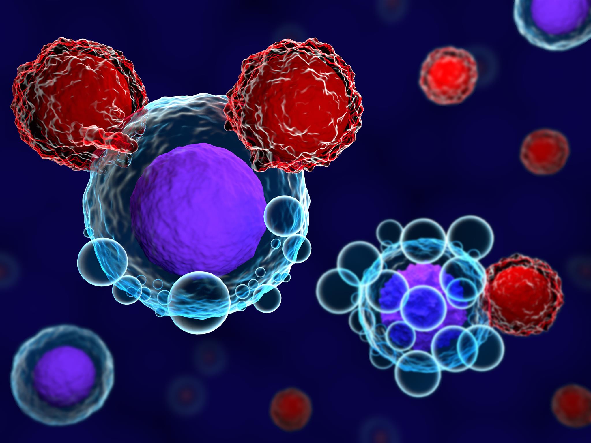 Lymphocytes T et cellules cancéreuses – Image © Meletios Verras, iStockPhoto.com