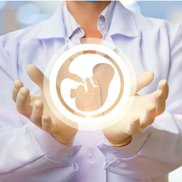  icône d'embryon dans les mains