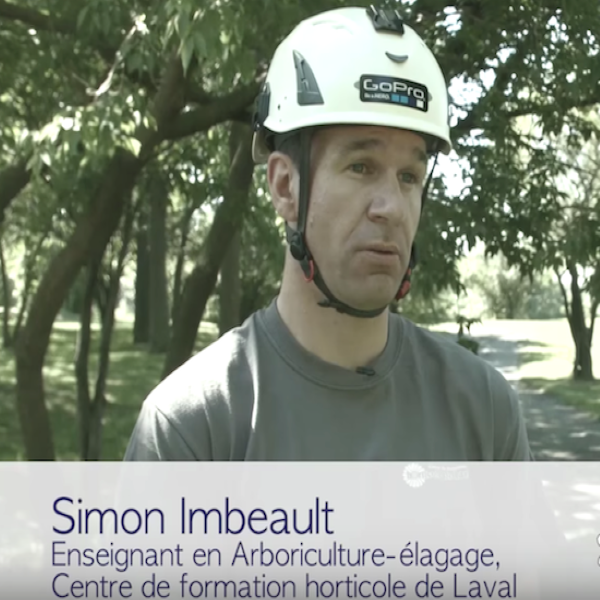 Simon Imbeault