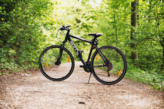 Bicyclette sur un sentier forestier