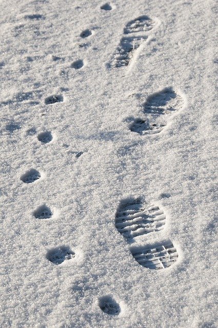 Empreintes de pas dans la neige 
