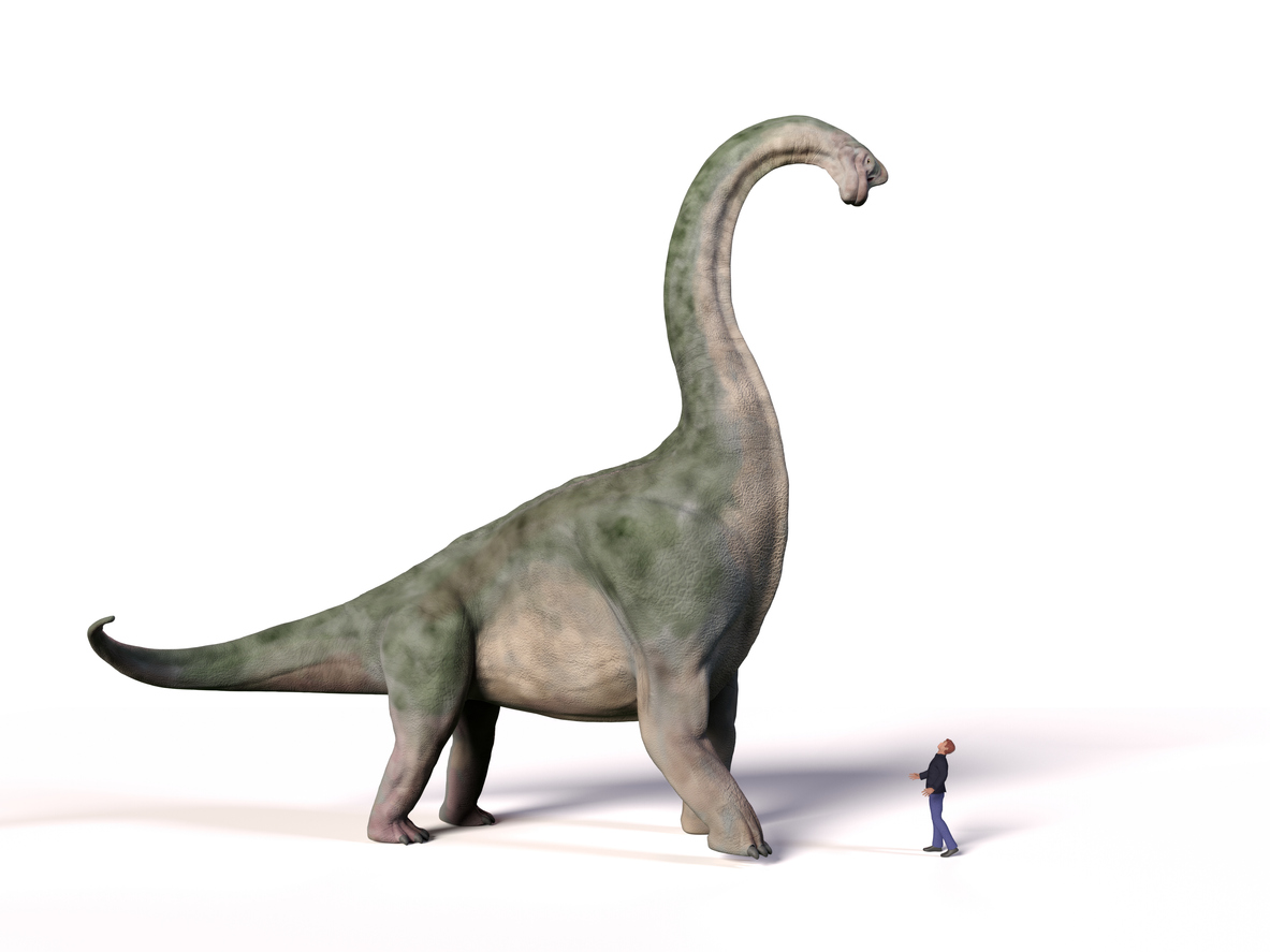 Dinosaure Brachiosaurus et une personne