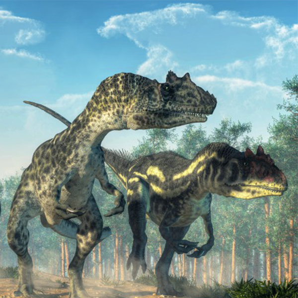 Dinosaures carnivores