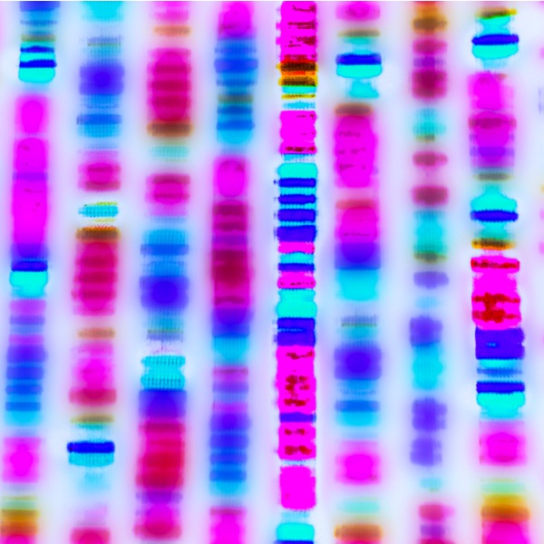 Représentation graphique d'une séquence d'ADN