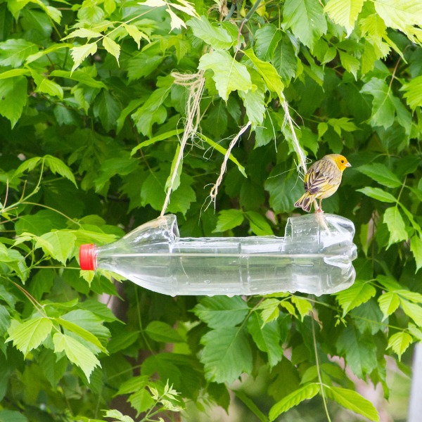 Mangeoire d'oiseaux faite d'une bouteille recyclée