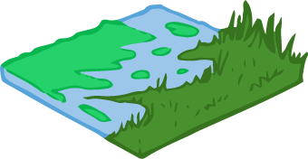 Algues (masse verte poisseuse flottant sur un étang)