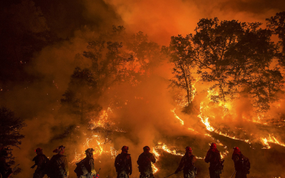 Des pompiers luttant contre des feux de forêt en Californie, en 2015. 