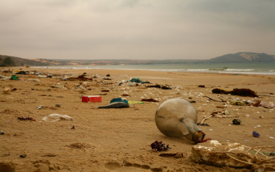 Des déchets qui jonchent une plage