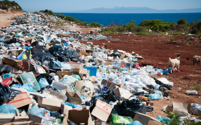 Des ordures s'entassent près du bord de mer