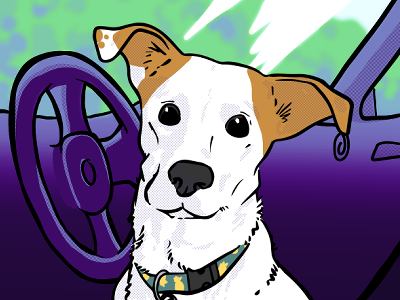 Illustration d'un chien dans une voiture.