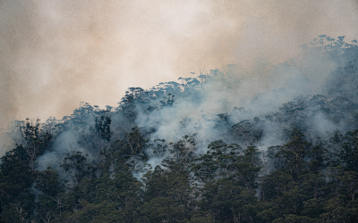 Fumée provenant de brûlages de réduction des risques à Hobart, en Tasmanie.