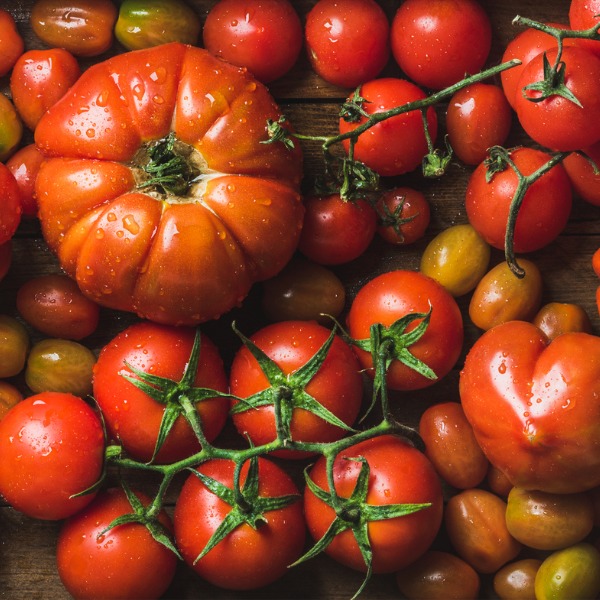 Ensemble de tomates de diverses formes, tailles et couleurs