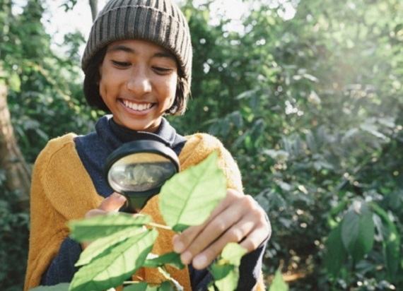 Student looks at leaf with magnifying glass