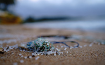 Microplastiques dans un sac en filet sur le littoral