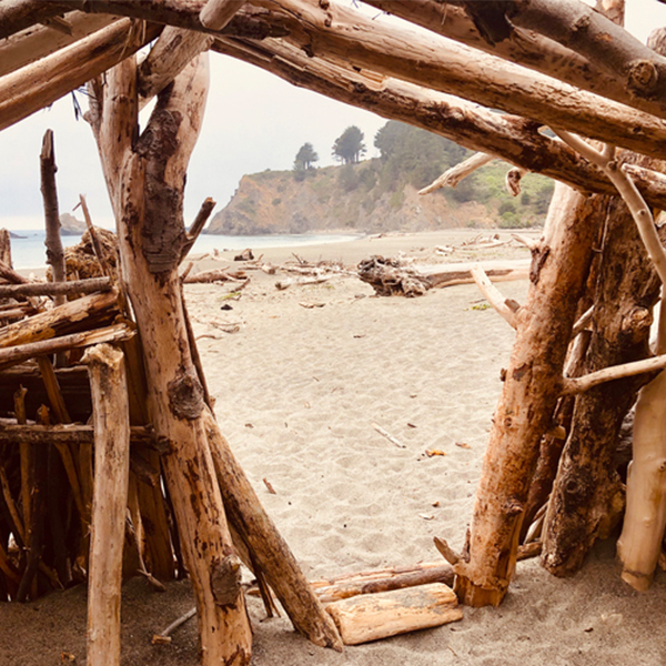 Structure en bois flotté sur une plage
