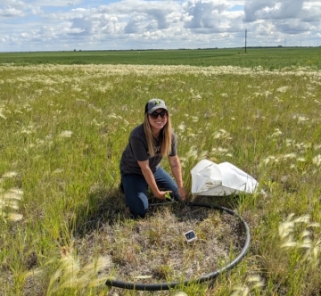 Brianna Lummerding à genoux près d’un cerceau en plastique collectant des échantillons dans un champ herbeux.