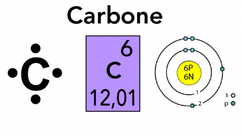 Divers moyens permettent de décrire un atome de carbone, entre autres une formule de Lewis, une entrée du tableau périodique et le modèle de Bohr.