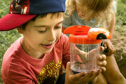 Un garçon regardant un insecte dans un bocal