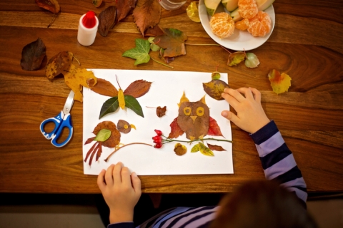 Un enfant crée des images d'animaux avec de feuilles