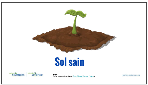 Première diapositive du diaporama sur les sols sains
