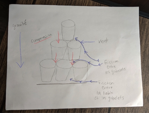 Exemple de dessin des forces sur les gobelets dans le défi 2