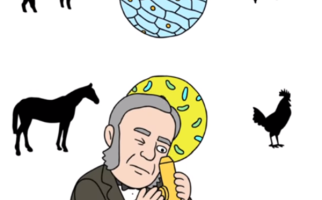 Capture d'écran de la vidéo TED Ed « The Wacky History of Cell Theory »