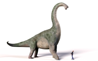 Dinosaure Brachiosaurus et une personne