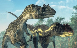Dinosaures carnivores