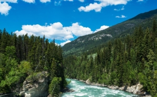 escente en eau vive du fleuve Fraser en Colombie-Britannique