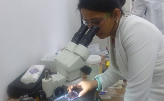 Juillet Alexandra Rincon Chacon utilisant un microscope pour examiner un échantillon.