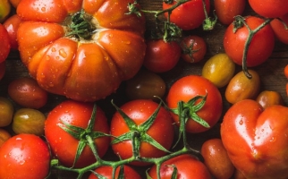 Ensemble de tomates de diverses formes et tailles