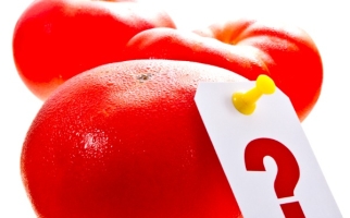 Une tomate épinglée d’une étiquette affichant un point d’interrogation