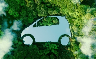 Lac en forme de voiture dans une vaste forêt verte