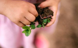 Small child outdoors gardening, holding soil with worm