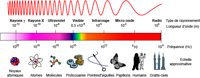 Le spectre des ondes électromagnétiques