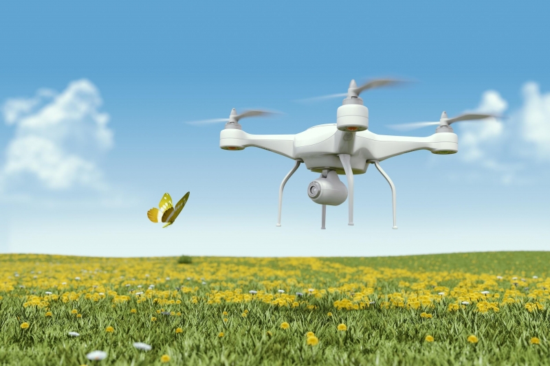 Des scientifiques espèrent utiliser des drones pour la pollinisation des cultures 