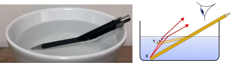 Un crayon ou un stylo dans un bol d’eau semble courbé en raison de la réfraction 