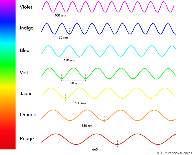 Spectre visible illustrant les longueurs d’onde de chacune des couleurs en cause. Le spectre va du rouge foncé à 700 nm au violet à 400 nm 