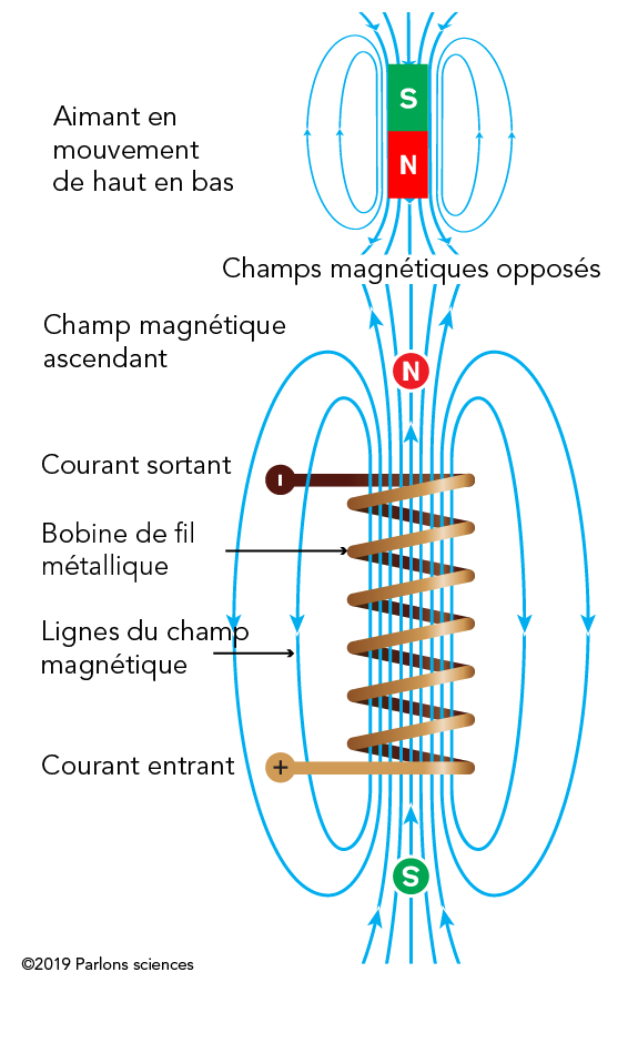 Le champ magnétique créé dans la bobine s’oppose au champ magnétique de l’aimant et ralentit par le fait même la descente de l’aimant.