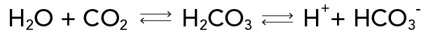 équation chimique du système bicarbonate
