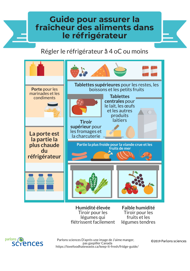 Les meilleurs endroits où entreposer les aliments dans le réfrigérateur 
