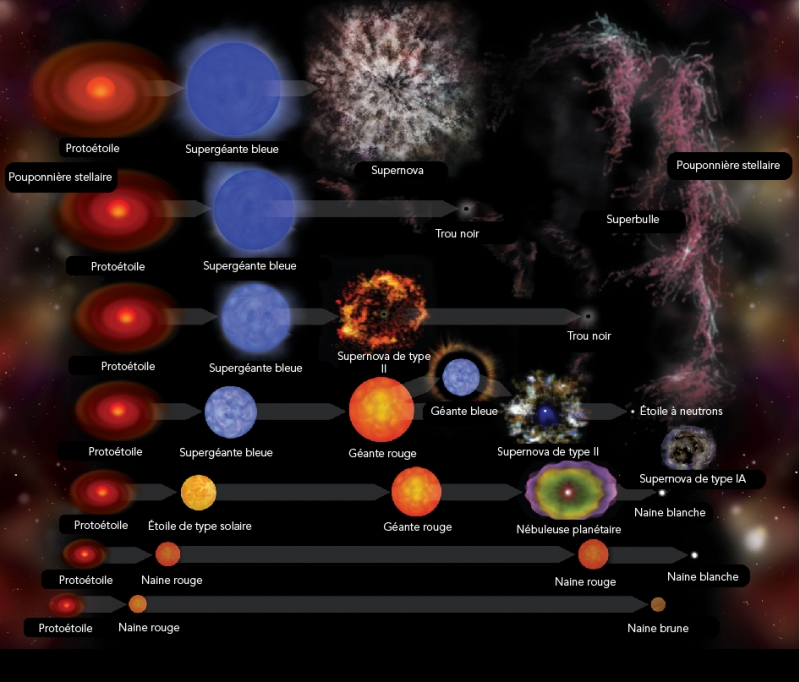 La naissance, la vie et la mort d’étoiles de différentes tailles. 