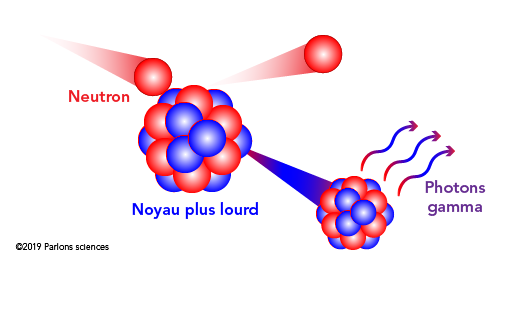 Lorsqu’un neutron percute un noyau plus lourd lors d’une collision inélastique, l’énergie acquise par le noyau est libérée sous forme de photons gamma. Le neutron conserve cependant une importante quantité d’énergie 