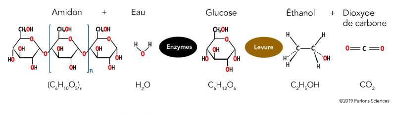 Principales molécules intervenant dans la production de l’éthanol
