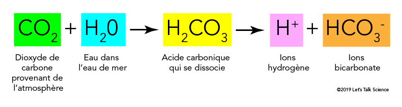 réaction chimique se produit entre le dioxyde de carbone (CO2) et l’eau des océans