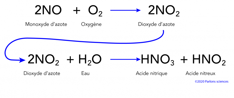 Réaction chimique du monoxyde d’azote avec l’eau et l’oxygène pour former de l’acide nitrique et de l’acide nitreux